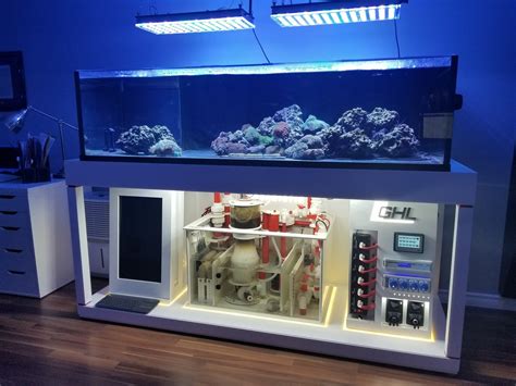 My Aquarium .